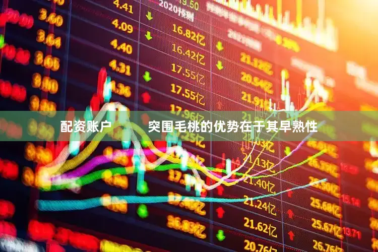 配资账户          突围毛桃的优势在于其早熟性