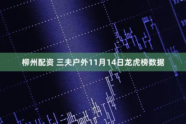 柳州配资 三夫户外11月14日龙虎榜数据