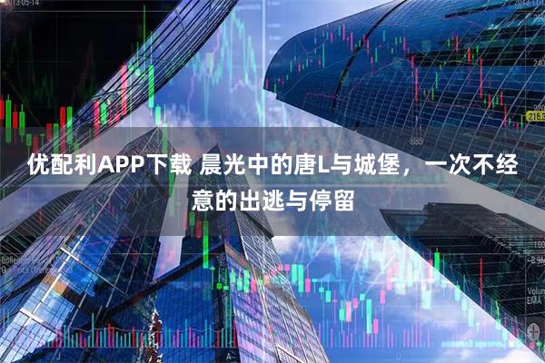 优配利APP下载 晨光中的唐L与城堡，一次不经意的出逃与停留
