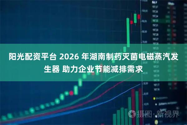 阳光配资平台 2026 年湖南制药灭菌电磁蒸汽发生器 助力企业节能减排需求